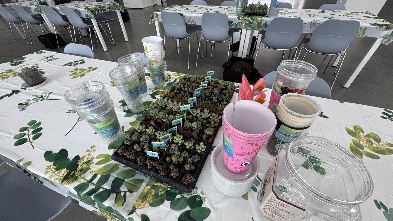 江苏北人开展世界环境日环保活动 江苏北人开展世界环境日环保活动